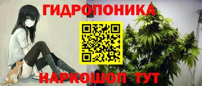 круглые Ставрополь